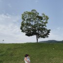 캐논당구장 | 오크밸리스키빌리지 스키안타는 시즌도 좋은, D동 25평 이용후기