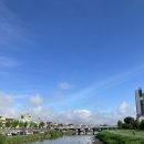 새벽시장 이미지