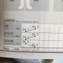 팀폭스멀티짐 네이버블로그