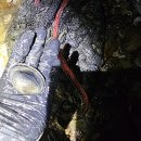 창기카센타 이미지