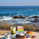 해안로1-L | 포항 오션뷰 신상카페 핸즈커피 칠포점 수제 와플 후기