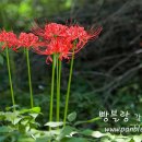 정거장주막 티스토리