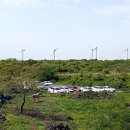 14-1코스 이미지