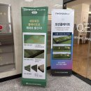 골프존파크 용이 쪽스크린 | [부산 동래] 스크린골프JSM골프파크 vip룸골프존 NX화질 4k 찐 추천 후기