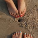 증도 갯벌생태전시관 이미지