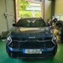 다운옵틱 이미지