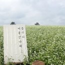 성읍환승정류장 이미지