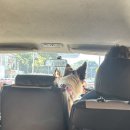 유창농장 | 과달라하라 데킬라 투어 당일 예약 후기 | 현지 업체추천, 일정, 가격, 소감