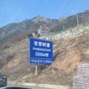 (D+5~10) 파란 배낭 메고 생필품 사는 하루