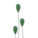 스시림 네이버블로그