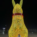 앞산케이블카 | [41개월] 5살 아이랑 대구 앞산 케이블카 타고 앞산 전망대 야경 감상하기⛰️🔭✨ (주차, 가격, 운행시간...