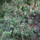 무릉2리마을회관 이미지