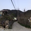 사파동282 이미지