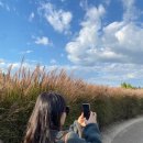 디지털아트치과의원 이미지