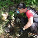 피재골약수터 이미지