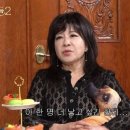 이상민자동차정비