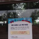 안내표 이미지