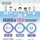 태권도 다움 이미지