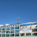 갯골 | 2025년 20주년 시흥갯골축제 후기!
