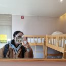 옥동4길 | 혼자 2박3일 안동 여행 - Day 3 (학가산온천과 땡큐커피)