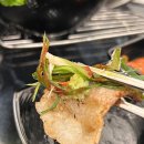도니조아고기조아