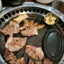 전설의참숯통갈매기