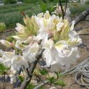 부리농장 이미지