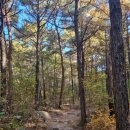 매송체육공원 축구장 이미지