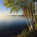 강가에서 이미지