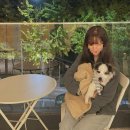 몽브루 | 수유동 419 카페거리 몽브루 애견동반카페 은행나무 뷰 명소