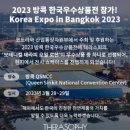소피스토어