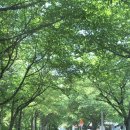 광영큰골길 이미지