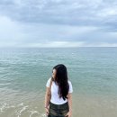 연곡해변 솔향기캠핑장 이미지