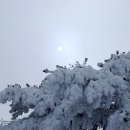 하얀천국 이미지