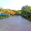 나비공원 이미지