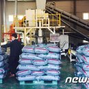 홍천사랑말 TMR 이미지