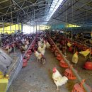 강희농장 이미지