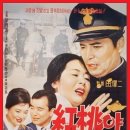 홍도야울지마라 이미지