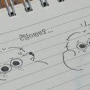 보글보글 이미지