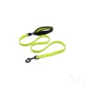 그린애견샵 이미지