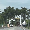 동해농협본점 | 동해 망상오토캠핑리조트 든바다 113호 숙박 후기