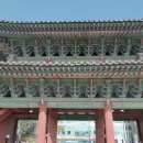 9급으로 가는 길 定石 | 창경궁 투어 예약 후기 입구 가는길 소요시간 주의사항