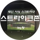 스트라이크존 사상구장 이미지