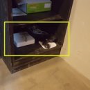 컬투치킨 이미지