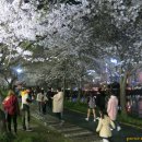 광신고등학교 이미지