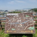 교대부설초등학교건너 | 전주 완산칠봉 꽃동산 겹벚꽃 다녀오다 🌸💕✨️