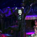 고양이마법사 이미지