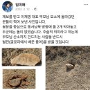 이재명 대표 선친묘소 훼손 논란 새국면…"문중서 기(氣) 보충" 이미지