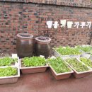 행응어린이집 이미지