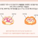 다해랩 이미지